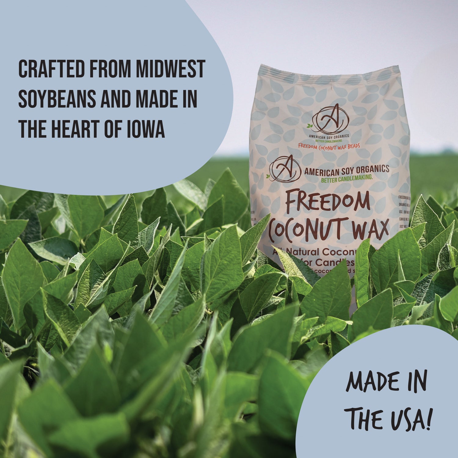 Freedom Coconut Wax