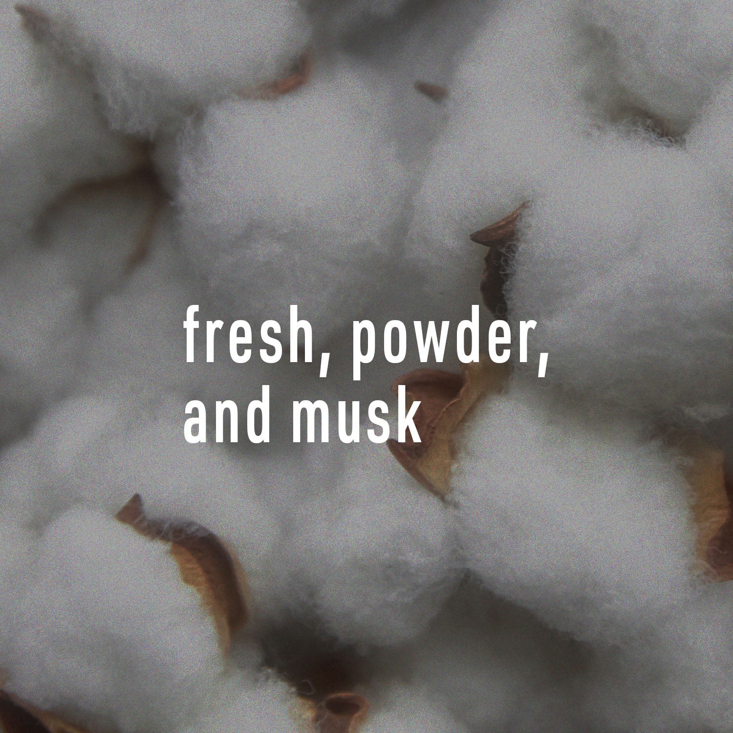 Close-up of cotton with text 'fresh, powder, and musk' overlayed.