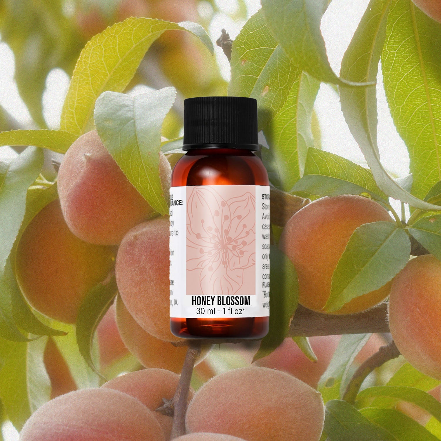 Bottle of 'Honey Blossom' fragrance oil with apricots on a branch background