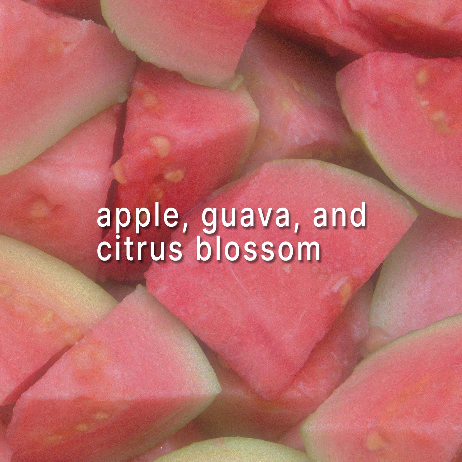 Pink Guava Scented Soy Beads