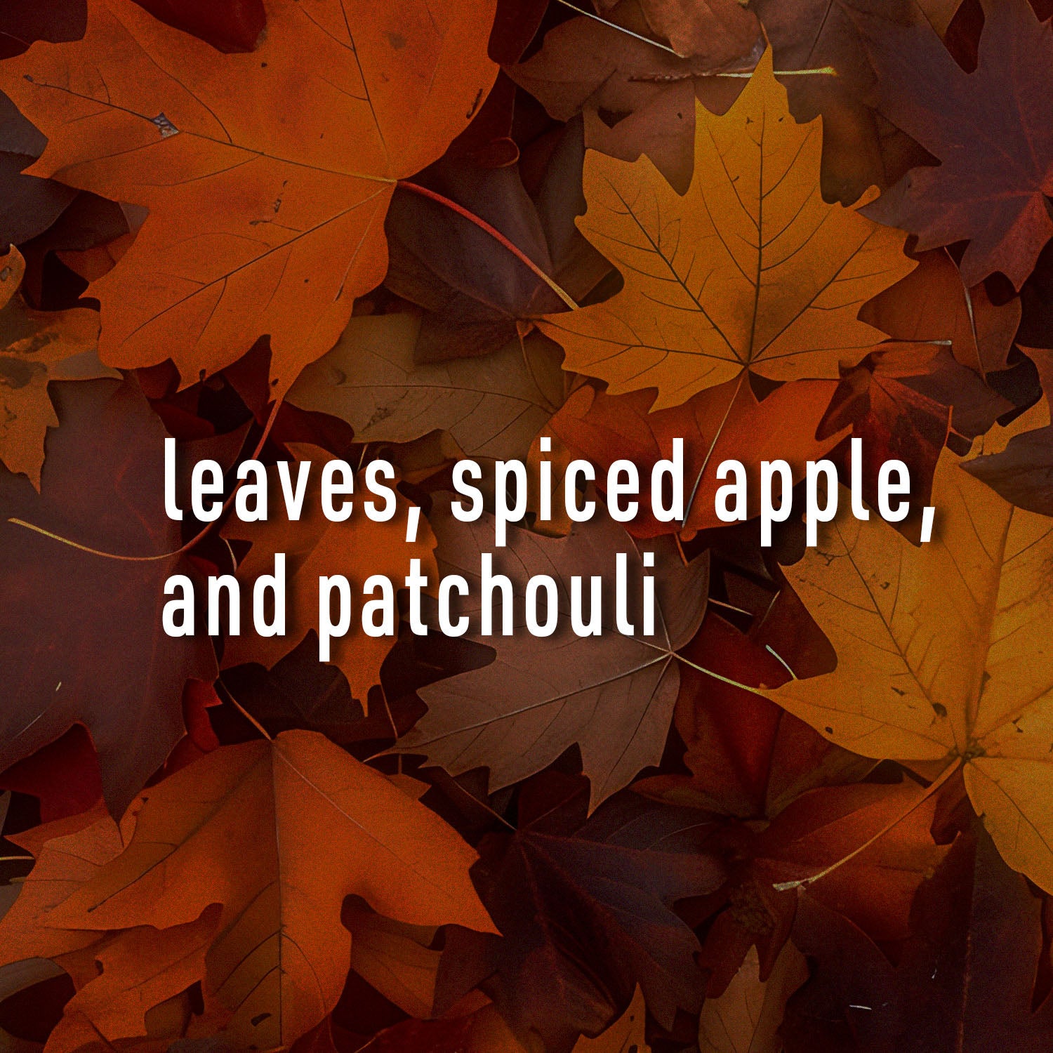Autumn leaves background with text overlay 'leaves, spiced apple, and patchouli'