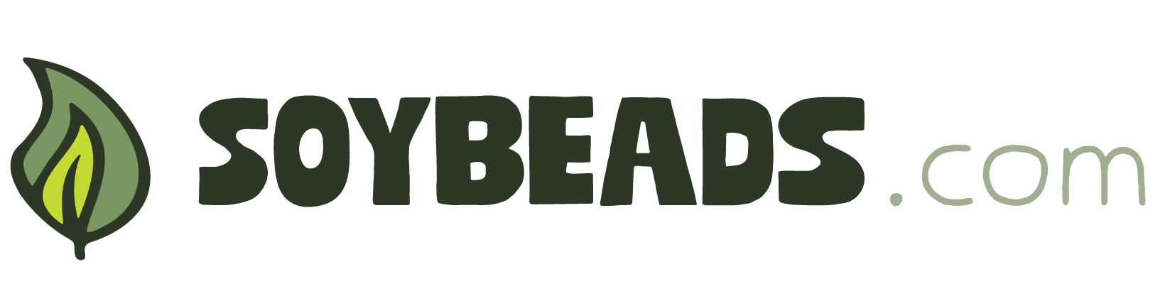 SoyBeads logo with a green leaf icon on a white background