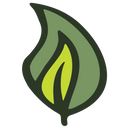 Green leaf icon on a white background