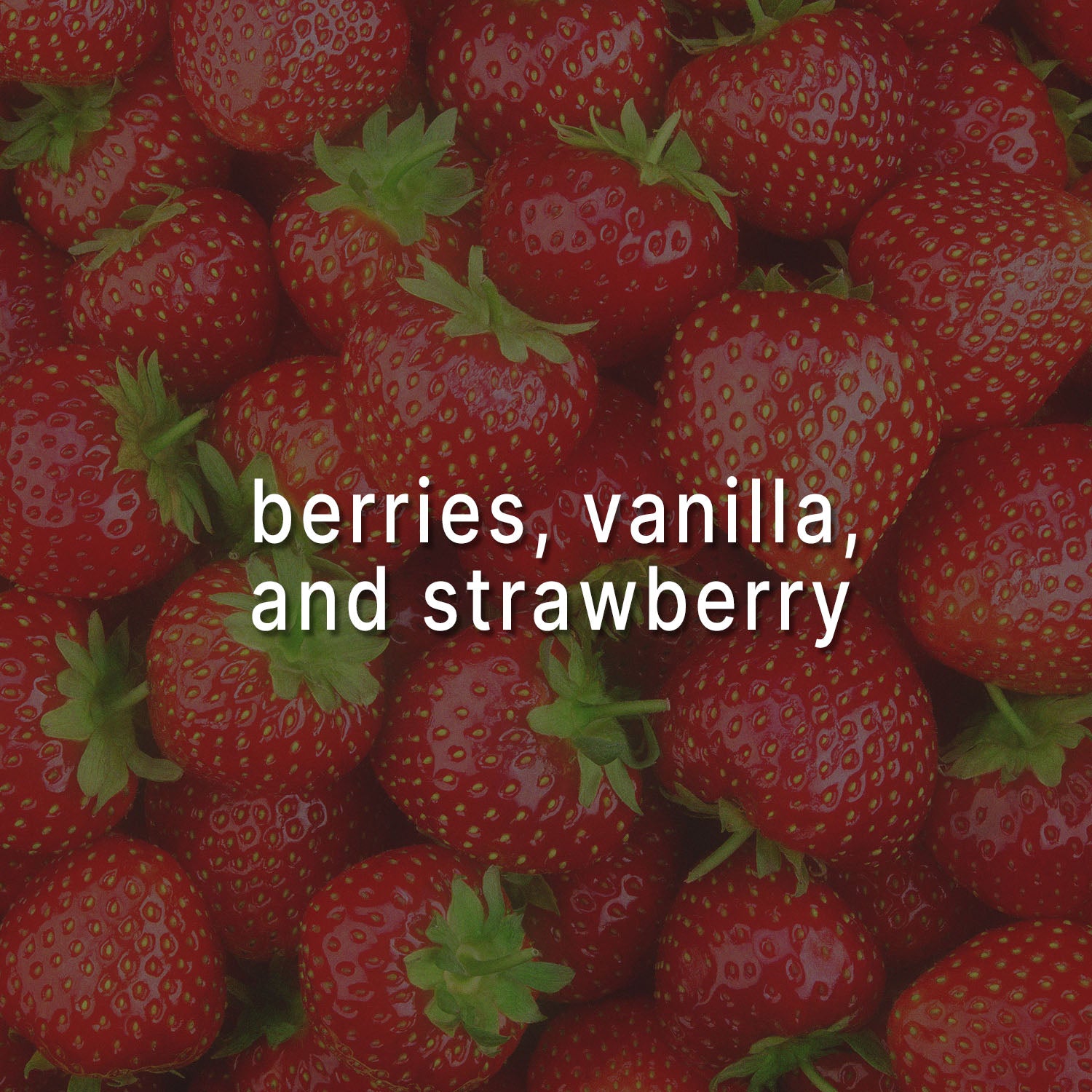 Strawberry Patch Scented Soy Beads