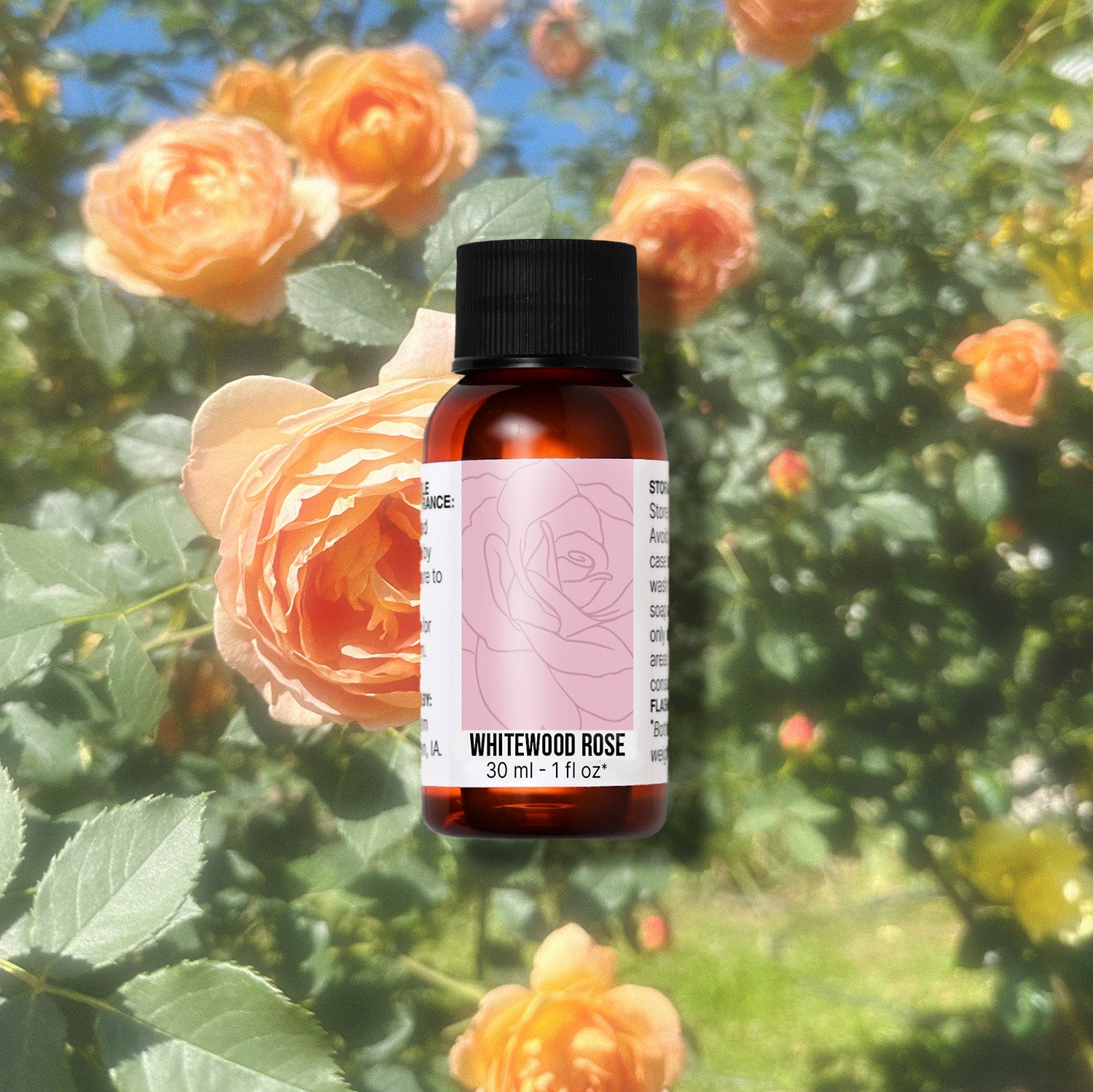 Bottle of Whitewood Rose fragrance oil with roses in the background