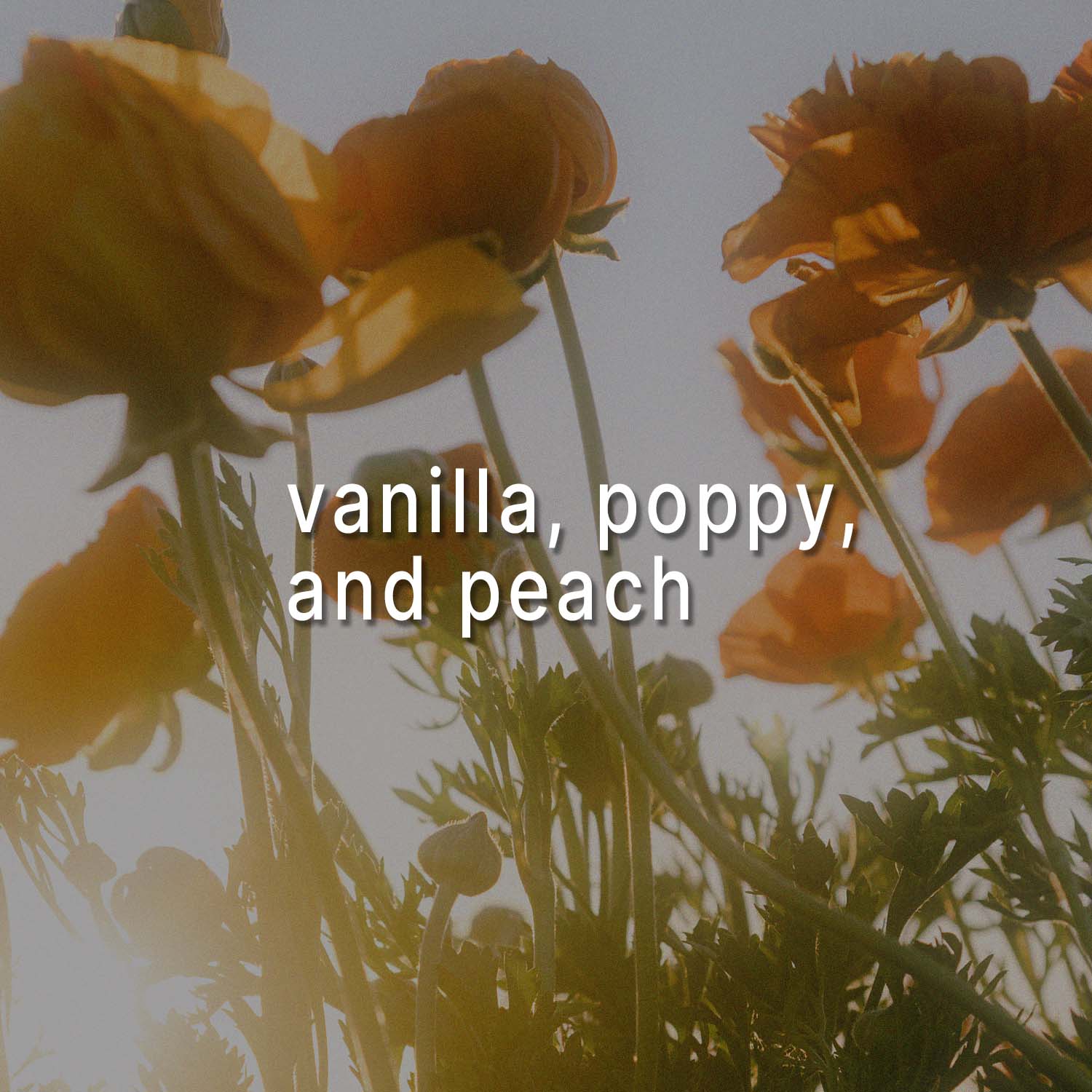 Peaches & Poppies Scented Soy Beads