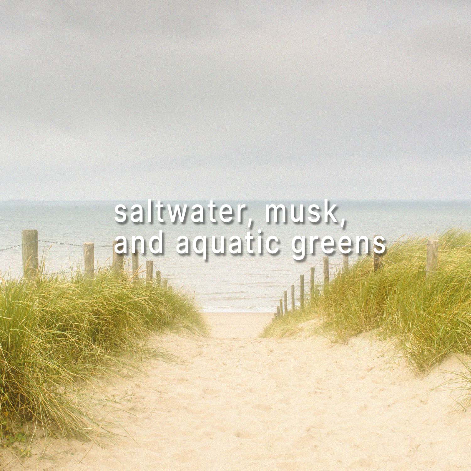 Saltwater Mist Scented Soy Beads